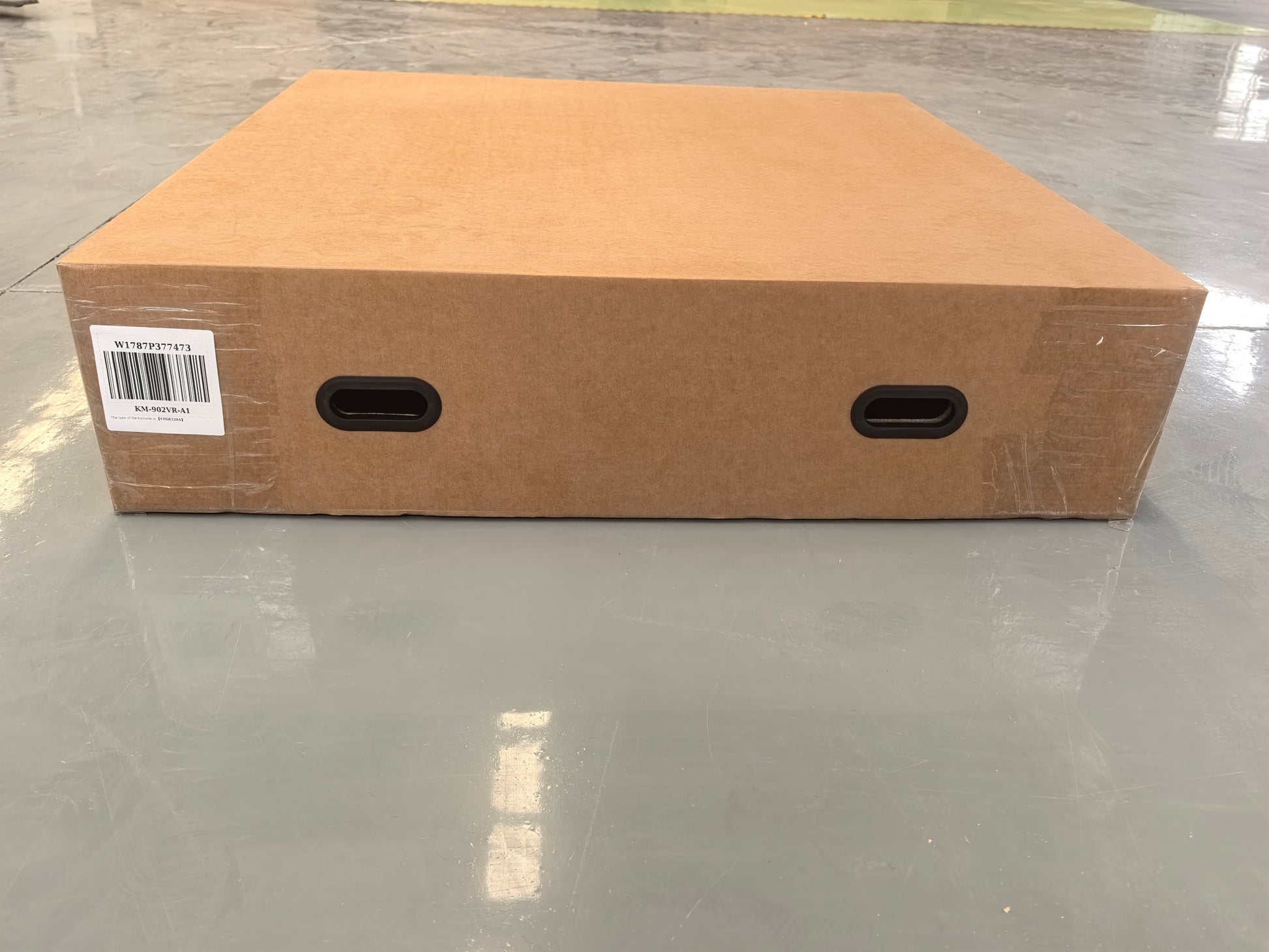 23439559